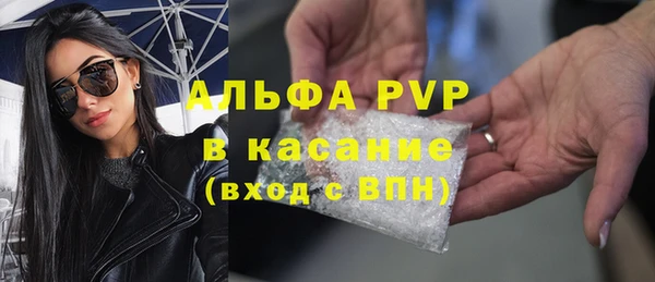 шишки Белокуриха