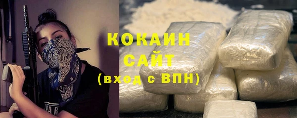 шишки Белокуриха