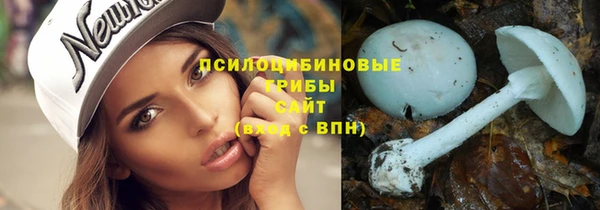 гидропоника Белоозёрский