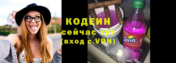 шишки Белокуриха