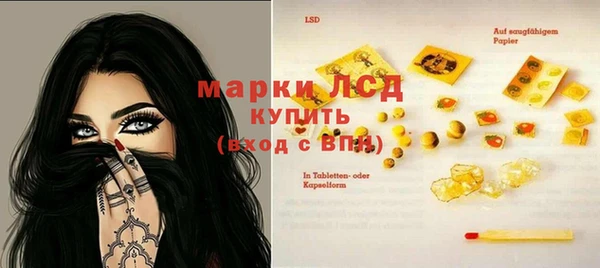 шишки Белокуриха