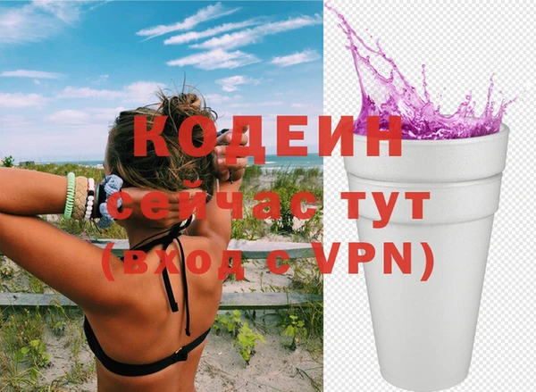 шишки Белокуриха
